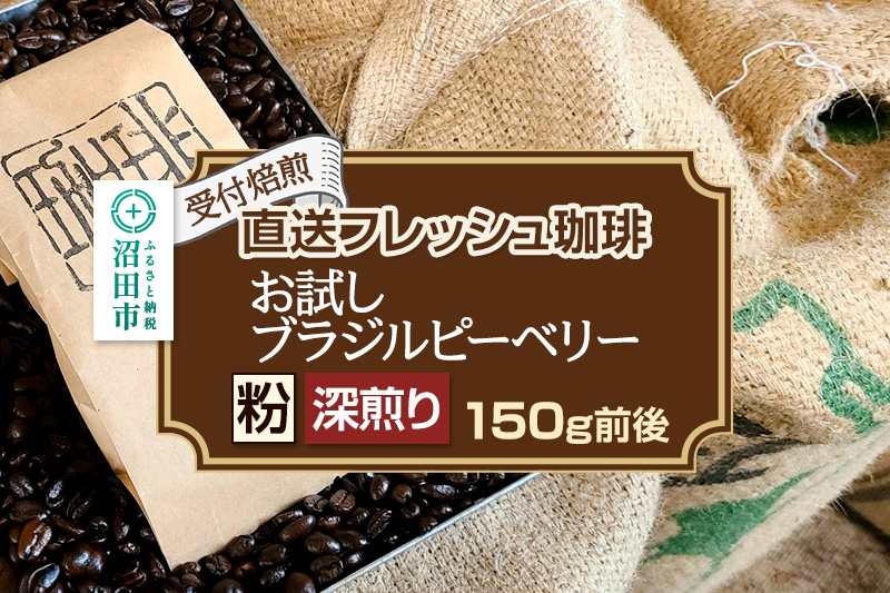 《受付焙煎》直送フレッシュ珈琲 お試し ブラジルピーベリー【粉／深煎り】約150g 珈琲倶楽部 沼田店