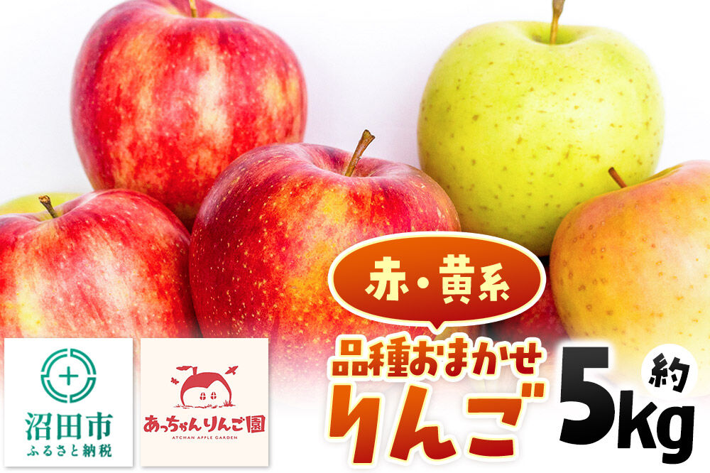 《11月上旬〜下旬にお届け》品種おまかせ りんご 約5kg（13〜18個前後）箱入り あっちゃんりんご園 [林檎 りんご リンゴ 5kg フルーツ 果物 くだもの 群馬県 沼田市]