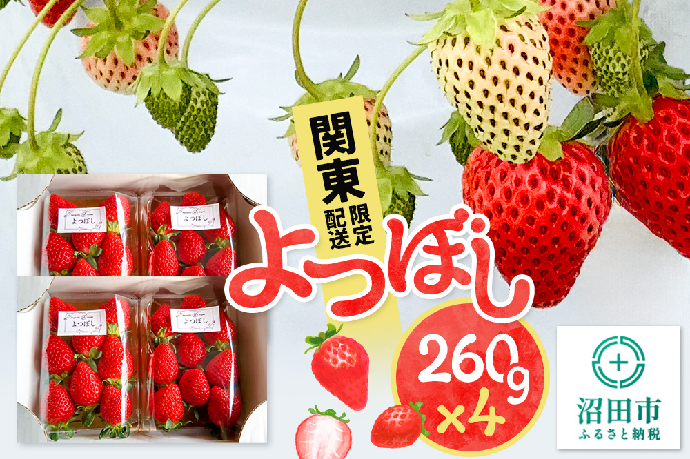 《2025年1月以降発送》関東限定配送 イチゴ よつぼし 約260gパック×4