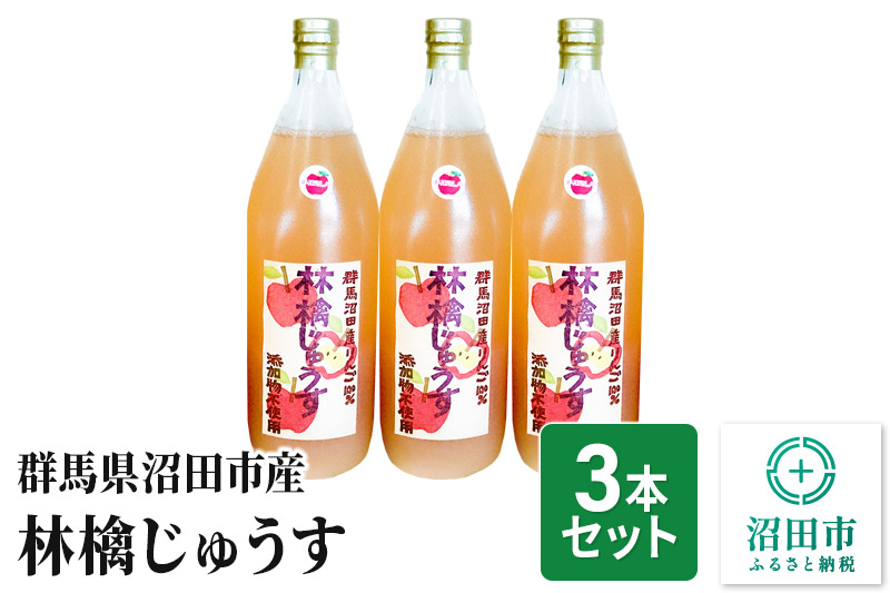 群馬県沼田市産 林檎じゅうす1000ml（リンゴジュース）3本セット