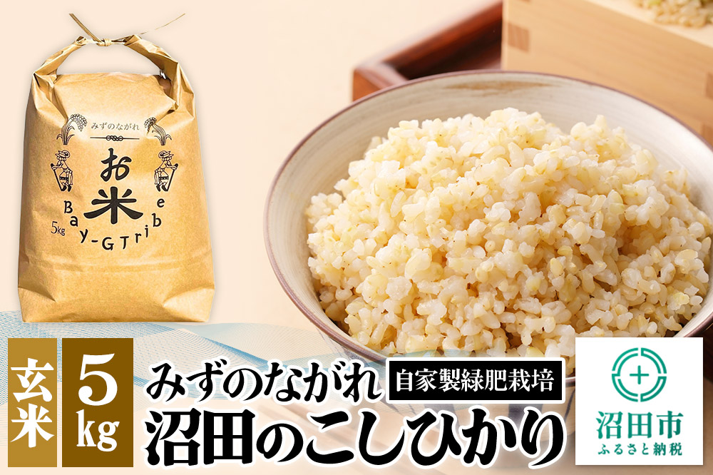 令和6年産 沼田のこしひかり「みずのながれ」玄米 5kg