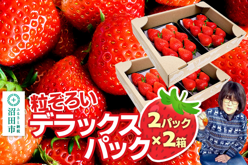 《2026年1月上旬〜2月上旬発送》粒ぞろい「やよいひめ」デラックスパック 2箱4パック入り（280g×4）山口いちご園 苺 イチゴ いちご