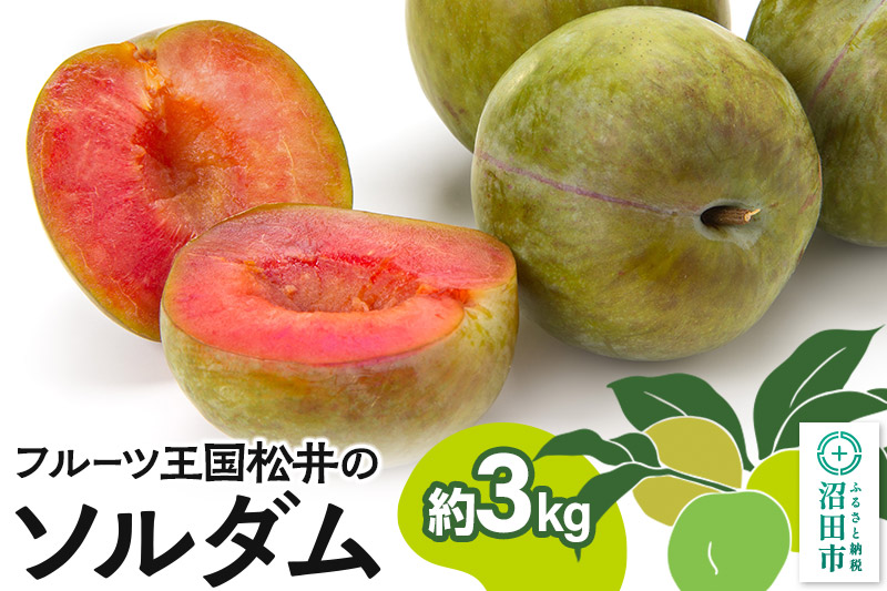 《7月下旬〜8月上旬にお届け》 プラム「ソルダム」約3kg フルーツ王国松井 [夏の味覚 夏の果物 夏のフルーツ すもも スモモ sumomo ぷらむ プラム 旬物]