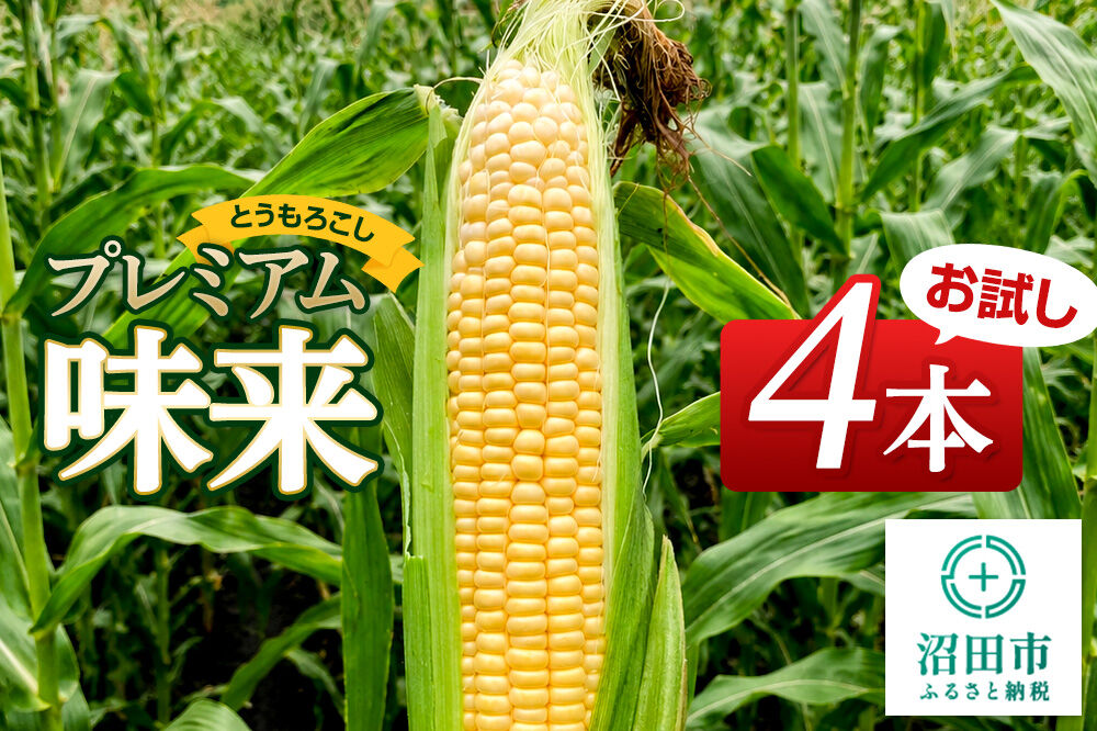 《7月下旬〜9月上旬発送》とうもろこし プレミアム味来 お試しセット（4本）山口いちご園