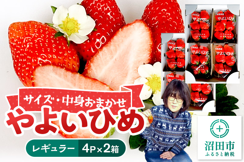 《2026年1月上旬〜2月上旬発送》中身おまかせ「やよいひめ」レギュラーパック 250g 4パック×2箱 山口いちご園 苺 イチゴ いちご