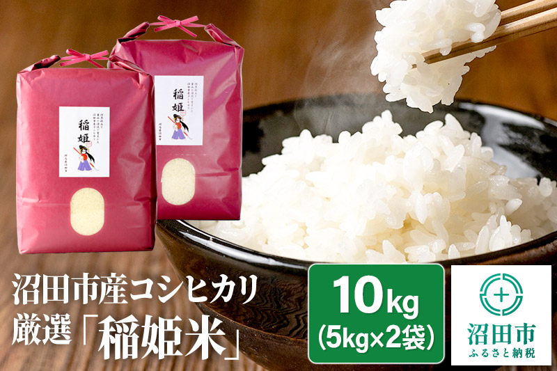 令和6年産 コシヒカリ厳選「稲姫米」10kg（5kg×2袋）精米 白米 こしひかり