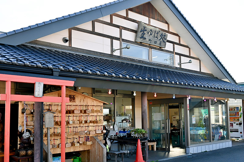 逕コ逕ー螻 逕溘f縺ー繝サ蜑オ菴懆ア閻舌そ繝繝 5遞ョ