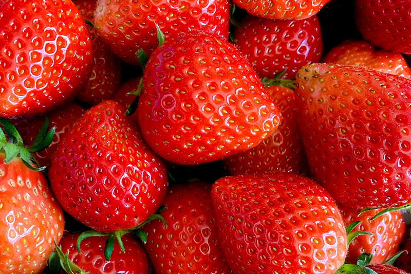 《2026年1月上旬〜2月上旬発送》じゅわっと甘い！サイズいろいろ「やよいひめ」約900g（1箱／梱包込）山口いちご園 苺 イチゴ いちご