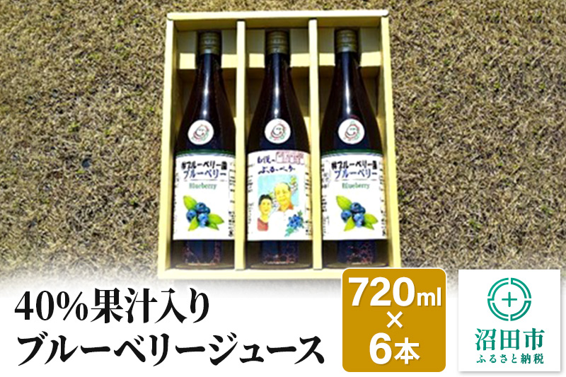 40％果汁入りブルーベリージュース720ml（6本セット）