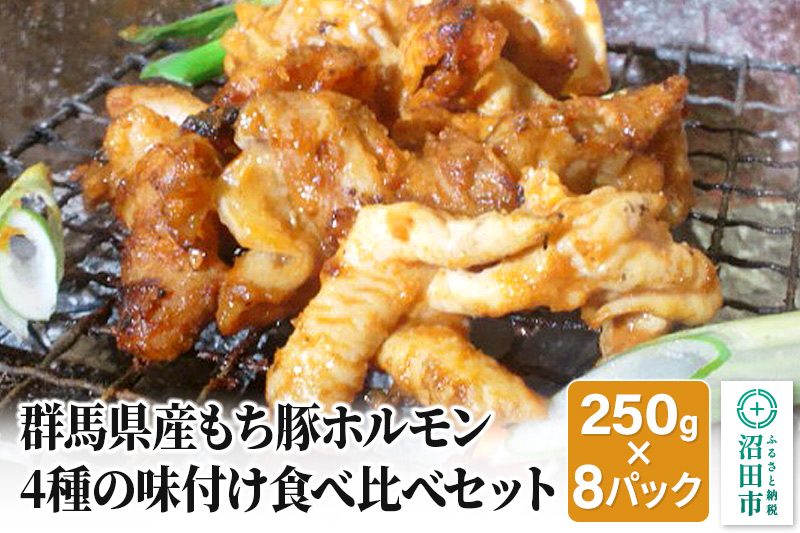 群馬県産もち豚ホルモン2kg（250g×8パック）4種の味付け食べ比べセット 群馬県 特産品