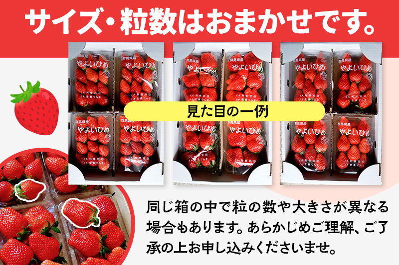 《2025年1月下旬以降発送》中身おまかせ「やよいひめ」レギュラーパック 250g 4パック×2箱