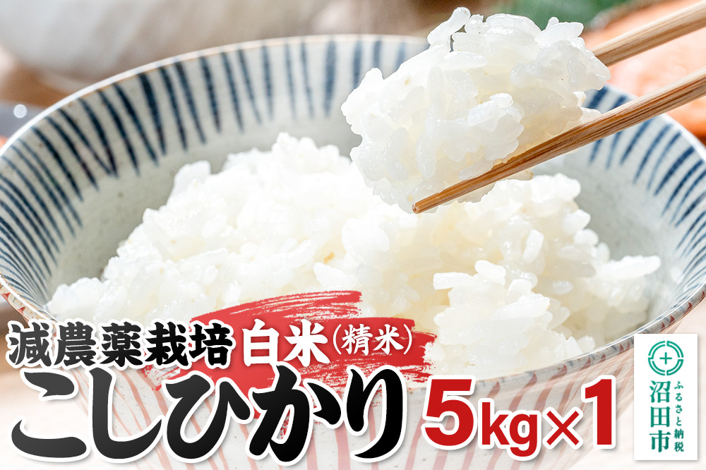 沼田市産 減農薬栽培こしひかり 白米 5kg 奥利根自然菜園