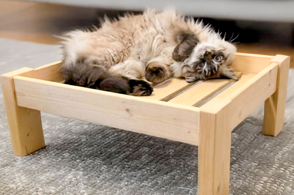 ããç³ã蟌ã¿åŸã«çç£ããããçšãããïŒå°åãããçšïŒ çµç«å®æå å€©ç¶æšSPFçŽ æ ç¬ ç« å¯å
· ãããçšå眮ãå Ž