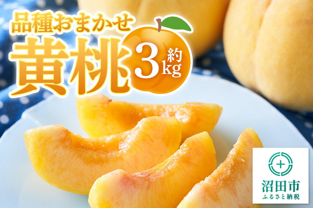 《8月下旬〜9月上旬にお届け》 品種おまかせ黄桃 約3kg フルーツ王国松井 [夏の味覚 夏の果物 夏のフルーツ 桃 もも モモ momo 旬物 ぴーち ピーチ peach お任せ おまかせ セット]