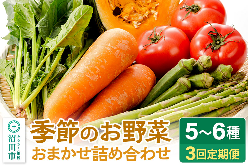 季節のお野菜 おまかせセット 季節ごとの3回お届け 定期便（1回あたり5〜6種類）詰め合わせ