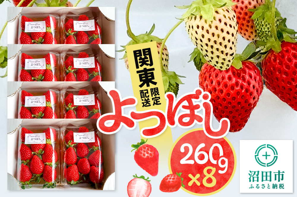 《2025年1月以降発送》関東限定配送 イチゴ よつぼし 約260gパック×8