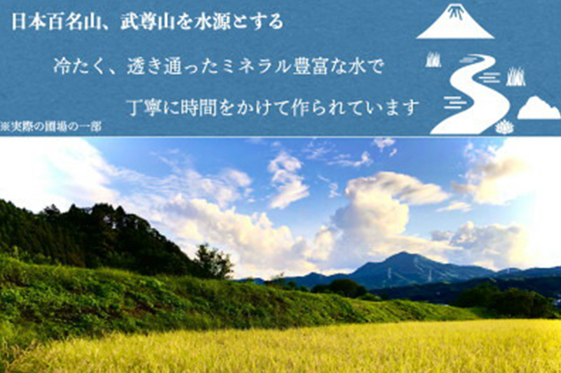 令和7年産 新米 沼田のこしひかり「みずのながれ」お試し六合 900g 群馬県沼田市産 精米 白米 コシヒカリ