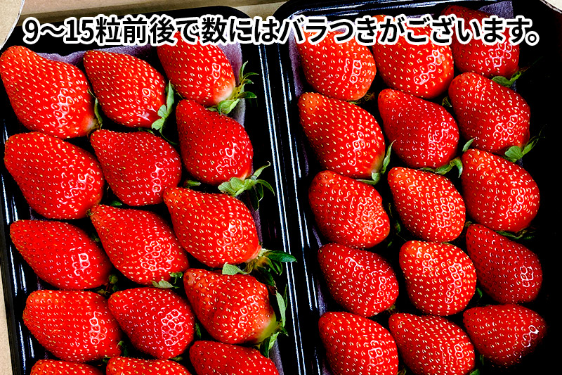 《2025年1月下旬以降発送》粒ぞろい「やよいひめ」デラックスパック 2パック×1箱 山口いちご園