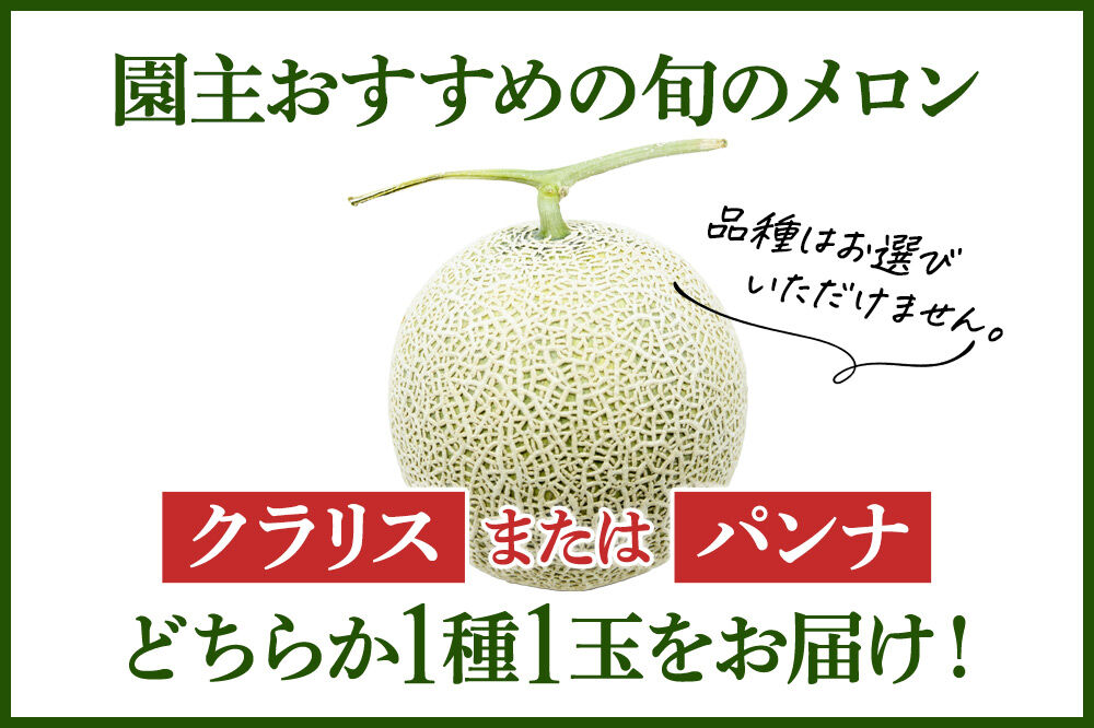 沼田市産 メロン 1玉（約1.5〜2kg） クラリス、パンナのどちらかから園主おすすめの旬のメロンをお届け！ [めろん 園主が厳選 なめらか食感 濃厚な甘み さっぱり 歯ごたえ食感 濃厚な味わい くらりす ぱんな 群馬県 沼田市]
