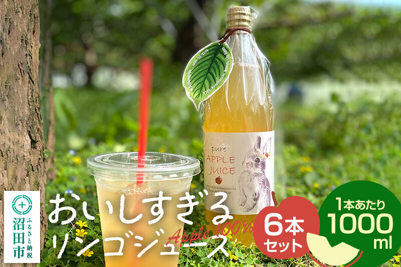 おいしすぎるリンゴジュース 1000ml×6本 ハミングバード [林檎 りんご リンゴ]