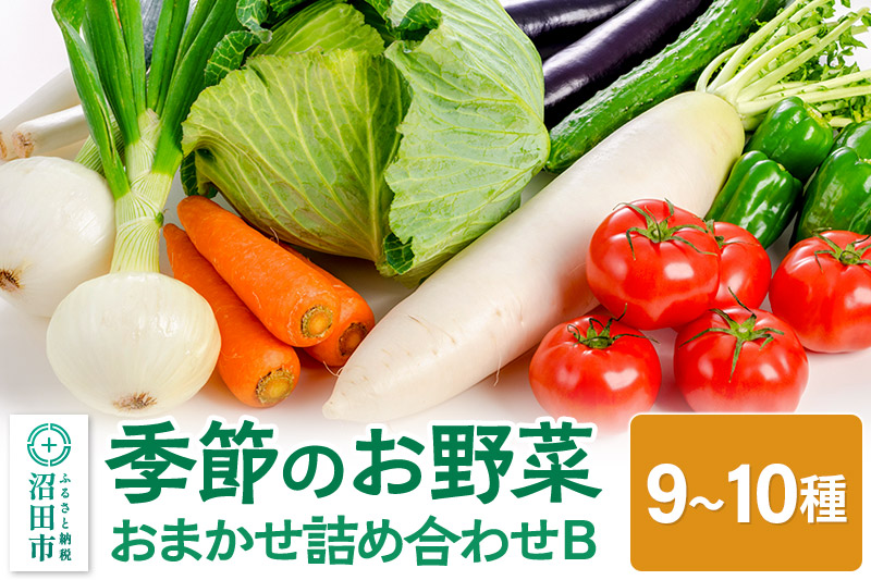 季節のお野菜 おまかせセット B（9〜10種類）詰め合わせ