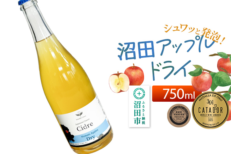 《SISGA部門最高賞ほか受賞》沼田アップルドライ（辛口）750ml×1本 Fukiware Cidrerie