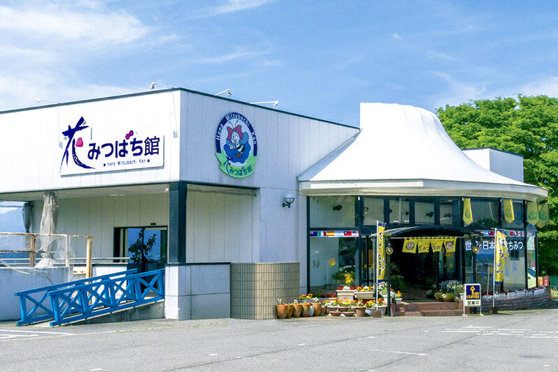 アカシヤ・尾瀬のはちみつ（百花）セット 各450g 花みつばち館 [蜂蜜 はちみつ ハチミツ 国産 詰合せ 詰合わせ 詰め合せ セット]