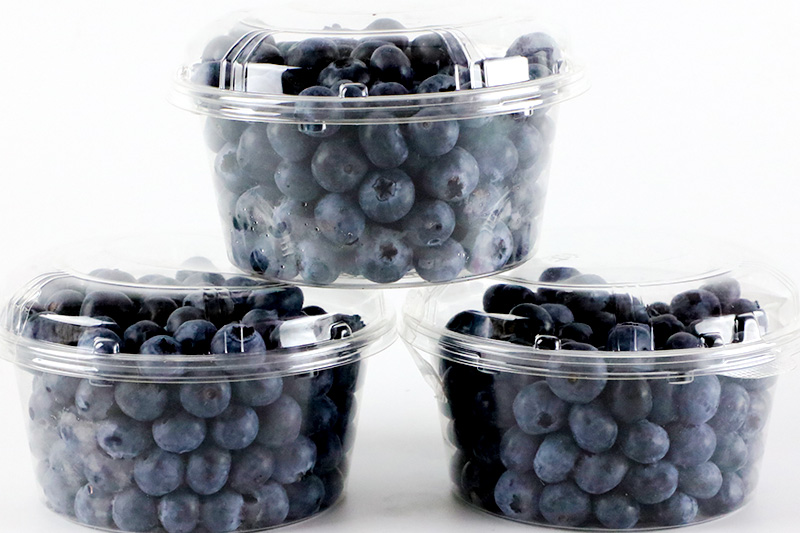 《7月中旬〜8月中旬発送》完全無農薬栽培 ブルーベリー 約350g×3個 ベリーガーデン