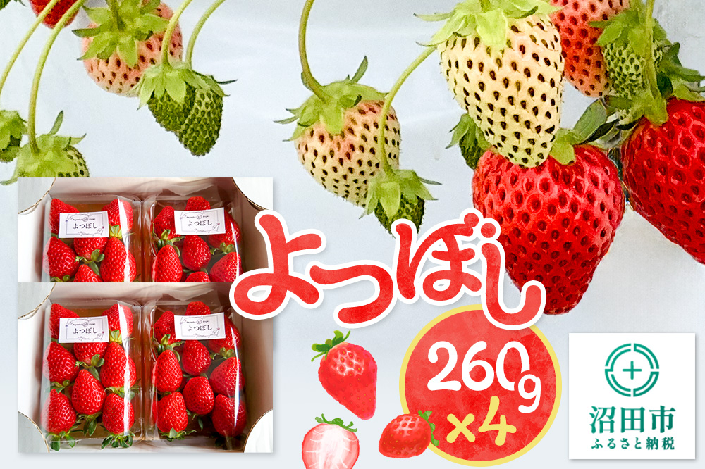 《2025年1月以降発送》関東限定配送 イチゴ よつぼし 約260gパック×4