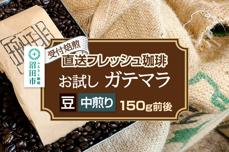 《受付焙煎》直送フレッシュ珈琲 お試し ガテマラ【豆／中煎り】約150g 珈琲倶楽部 沼田店