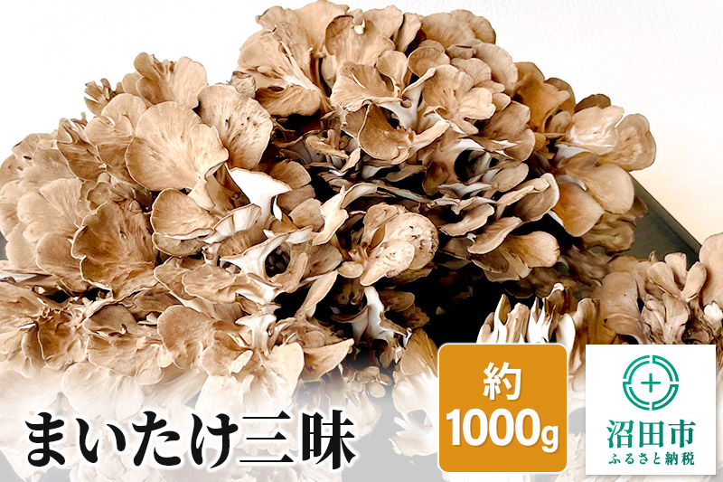 まいたけ三昧 約1000g