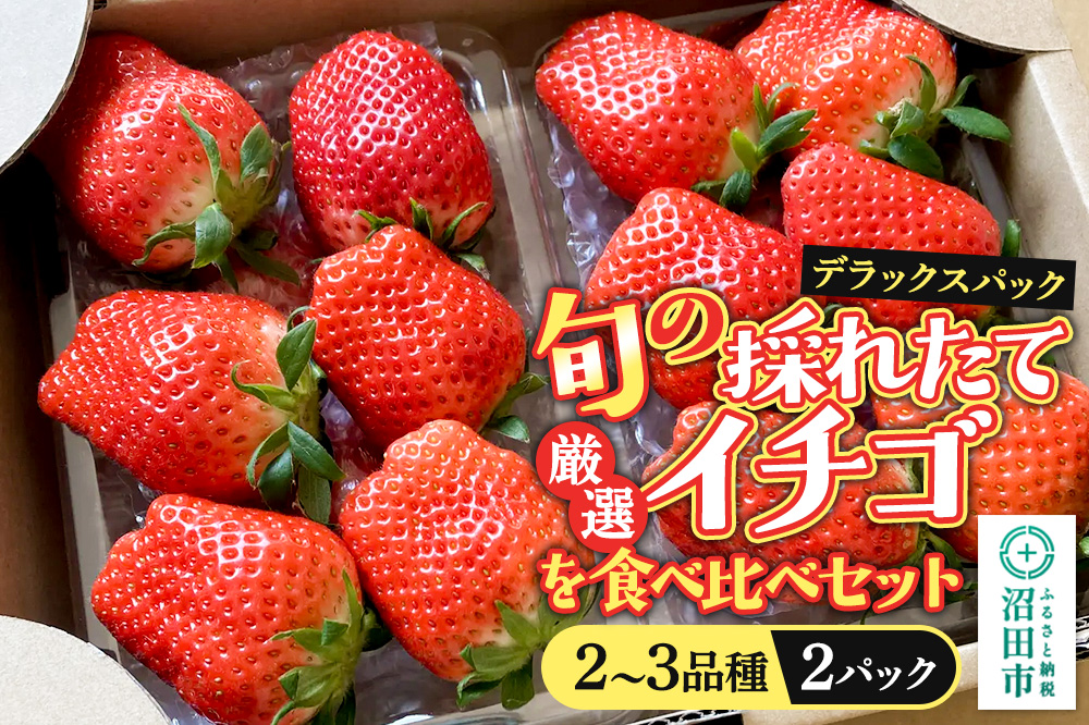 《2026年1月上旬〜2月上旬発送》旬の採れたて厳選イチゴを食べ比べ！《2〜3品種》デラックスパック 2パック×1箱 詰め合わせセット（サイズ・品種おまかせ）