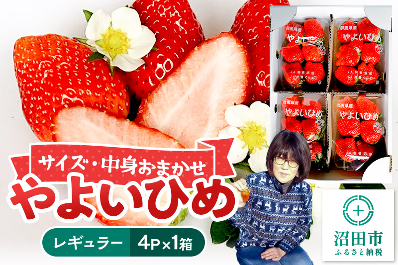 《2026年1月上旬〜2月上旬発送》中身おまかせ「やよいひめ」レギュラーパック 250g 4パック×1箱 山口いちご園 苺 イチゴ いちご