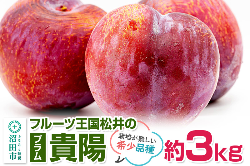 《8月上旬〜8月中旬にお届け》 高級プラム「貴陽」約3kg サイズ不揃い ご自宅用 フルーツ王国松井 [夏の味覚 夏の果物 夏のフルーツ すもも スモモ sumomo ぷらむ プラム 旬物]