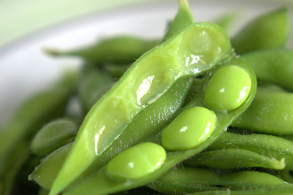 厳選 天狗印枝豆「味緑（みりょく）」約1.25kg [枝豆 えだまめ エダマメ 茶豆 えだ豆 エダ豆]