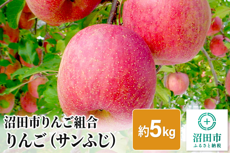 《2024年12月上旬以降発送》沼田市りんご組合 りんご（サンふじ）約5kg 群馬県沼田市