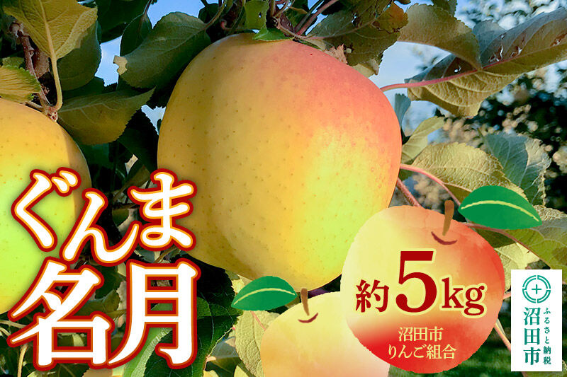 《11月中旬〜12月上旬発送》沼田市りんご組合 りんご（ぐんま名月）約5kg 群馬県沼田市 [林檎 りんご リンゴ ぐんま名月]