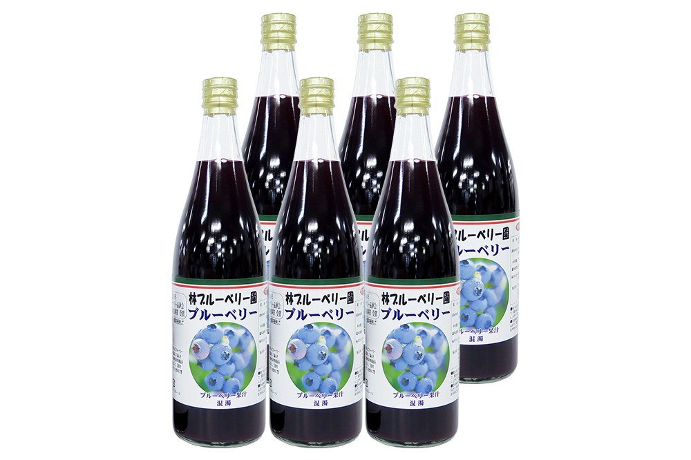 40％果汁入り ブルーベリージュース 720ml×6本セット