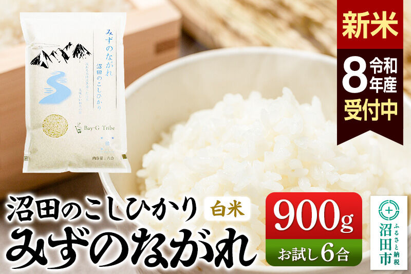 《令和8年産 新米予約》沼田のこしひかり「みずのながれ」お試し六合 900g 群馬県沼田市産 精米 白米 コシヒカリ [こしひかり コシヒカリ みずのながれ 白米 精米 新米 先行予約]