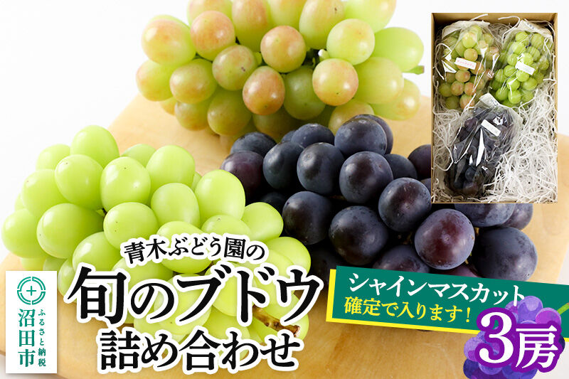 《9月上旬〜下旬発送》青木ぶどう園の旬のブドウ詰め合わせ 3房 [お任せ おまかせ 葡萄 ぶどう ブドウ 群馬県 沼田市 シャインマスカット フルーツ くだもの 果物 詰め合わせ]