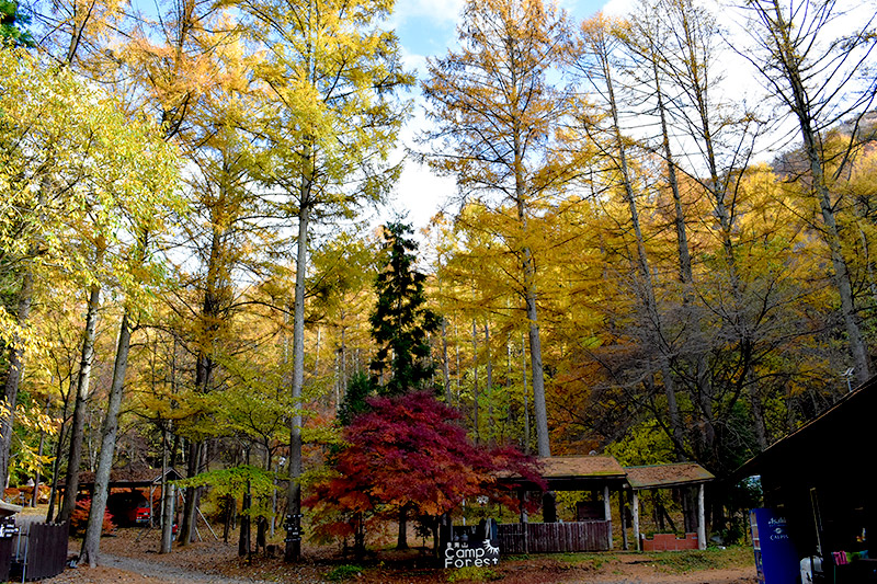 群馬県沼田市 皇海山キャンプフォレスト宿泊利用補助券 15,000円分