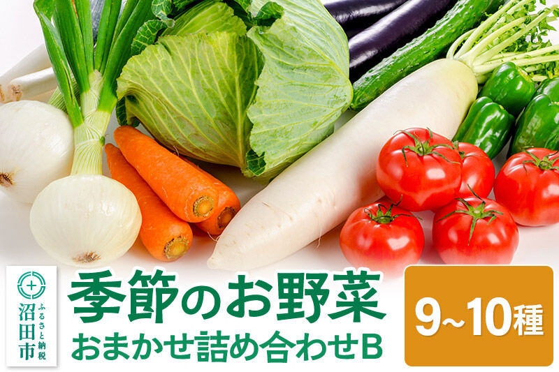 季節のお野菜 おまかせセット B（9〜10種類）詰め合わせ [【野菜セット】お任せ おまかせ 野菜 やさい ヤサイ 詰め合わせ セット]