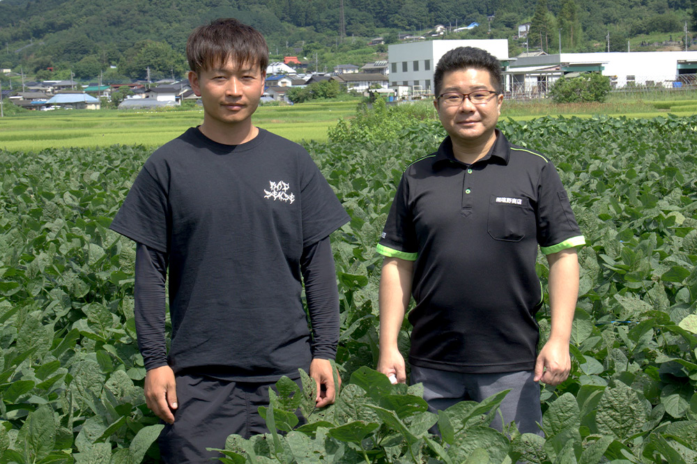 厳選 天狗印枝豆「味緑（みりょく）」約1.25kg [枝豆 えだまめ エダマメ 茶豆 えだ豆 エダ豆]