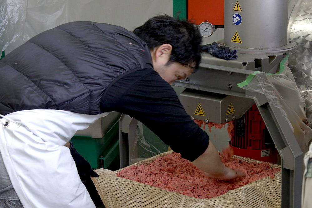 《SISGA部門最高賞ほか受賞》沼田アップルスウィート（甘口）750ml×1本 Fukiware Cidrerie