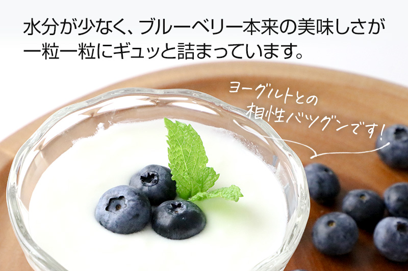 《7月中旬〜8月中旬発送》完全無農薬栽培 ブルーベリー 約350g×3個 ベリーガーデン