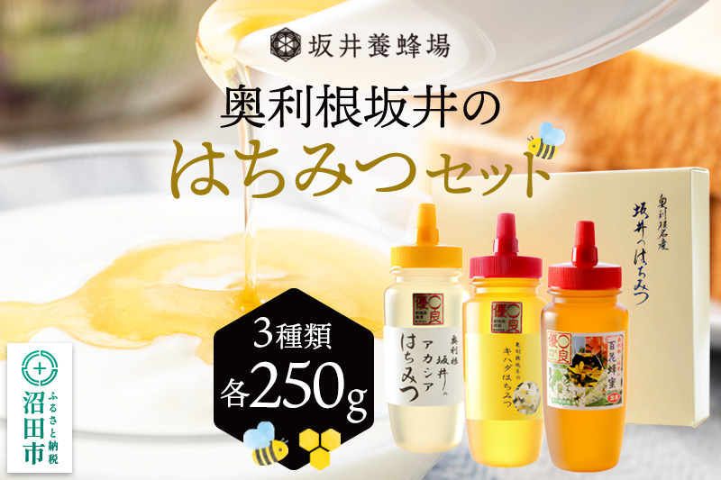 奥利根坂井のはちみつセット（アカシア・百花・キハダ）各250g 坂井養蜂場