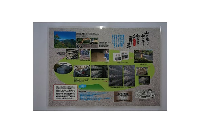 《2026年1月発送》生まいたけ（白・黒）各約300g＋乾燥まいたけ25g×2個セット 詰め合わせ おいがみ舞茸園