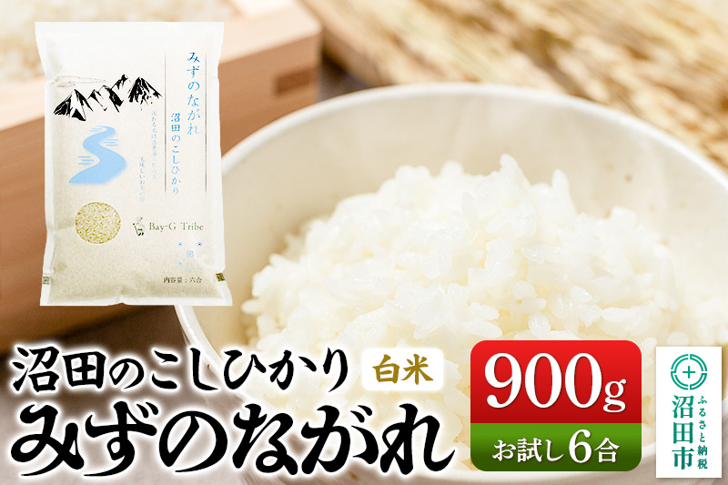 令和7年産 新米 沼田のこしひかり「みずのながれ」お試し六合 900g 群馬県沼田市産 精米 白米 コシヒカリ