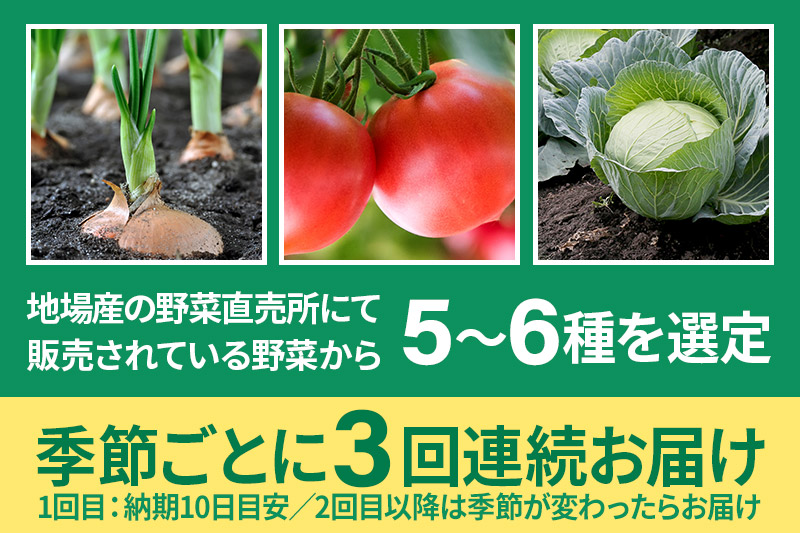 季節のお野菜 おまかせセット 季節ごとの3回お届け 定期便（1回あたり5〜6種類）詰め合わせ