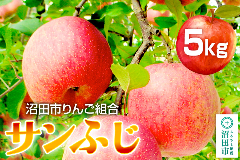 《12月下旬〜1月中旬発送》沼田市りんご組合 りんご（サンふじ）約5kg 群馬県沼田市